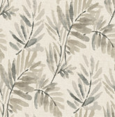 4177-27741 - Serenade Grey Ferns Wallpaper