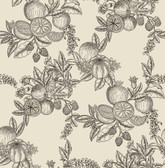 4173-27637 - Gerty Black Fruit Toile Wallpaper