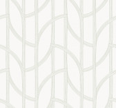 4172-82009 - Salvo Light Green Curved Contours Wallpaper
