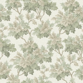 AST6355 - Oakcliff Sage Leaf Trail Wallpaper