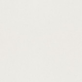 4153-77019 - Parget Äggskal Eggshell Textured Wallpaper