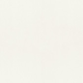 4153-77012 - Parget Snövit White Textured Wallpaper