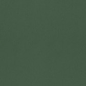 4153-77001 - Parget Eklöv Dark Green Textured Wallpaper