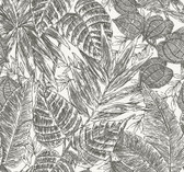 4034-72115 - Brentwood Black Palm Leaves Wallpaper