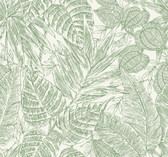 4034-72116 - Brentwood Green Palm Leaves Wallpaper