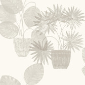 4014-87555 - Aida Light Grey Potted Plant Wallpaper