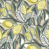 4014-26418 - Meyer Chartreuse Citrus Wallpaper