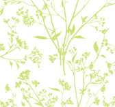 2927-80704 - Southport Chartreuse Delicate Branches Wallpaper