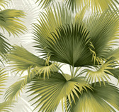 2927-40114 - Summer Palm Green Tropical Wallpaper