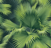 2927-40104 - Summer Palm Dark Green Tropical Wallpaper