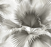 2927-40100 - Summer Palm Charcoal Tropical Wallpaper