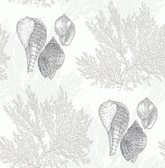 2927-81205 - Nauset Cream Seashell Shores Wallpaper