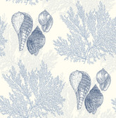 2927-81202 - Nauset Blue Seashell Shores Wallpaper