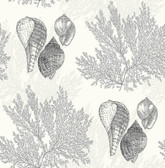 2927-81200 - Nauset Black Seashell Shores Wallpaper