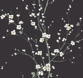 2927-81800 - Monterey Black Floral Branch Wallpaper