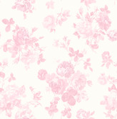 AST4101 - Everblooming Rosettes Pink Jam Cabbage Rose Bouquets Wallpaper