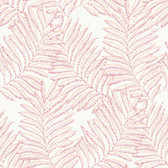 2973-90502 - Finnley Pink Inked Fern Wallpaper
