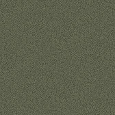 2999-55000 - Anna Dark Green Fern Trail Wallpaper