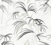 PSW1611RL - Inky Palms Black Peel & Stick Wallpaper