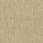 Contemporary Beyond Basics Wasp Texture Fallow Brown Wallpaper 420-87080