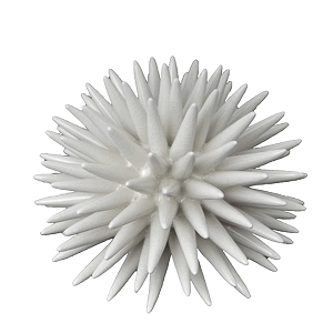 porcelain-sea-urchin-ceramic-thumbnail.jpg