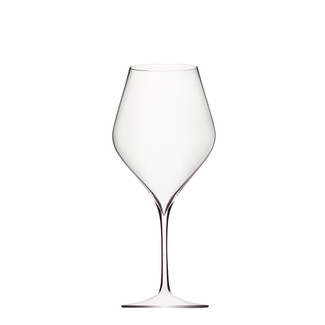 Absolus Red Wine Glass - Set of 6