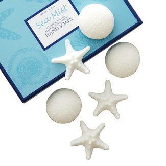 Scented Shell Shaped Soaps -Set of 6