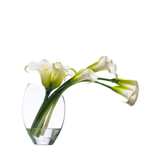 Small Cream Calla Lily