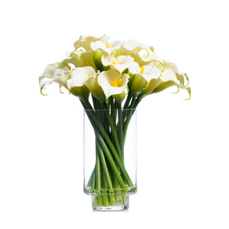 White Calla Lilies in Footed Cylinder