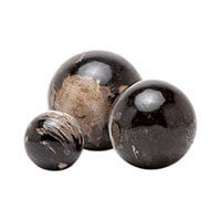 Bram Petrified Wood Spheres - Set of 3
