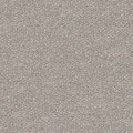 Fabric: Oyster