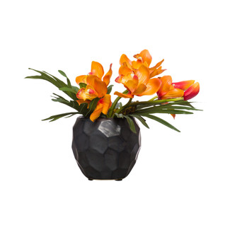 Orange Cymbidium & Philo in Black Chipped Pot