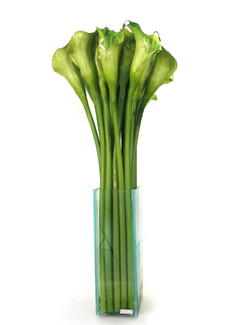 Green Calla Lily- 12" Plate Glass Vase