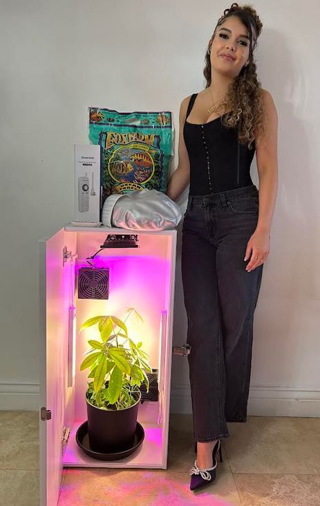 hydroponicsgrowbox7.jpg