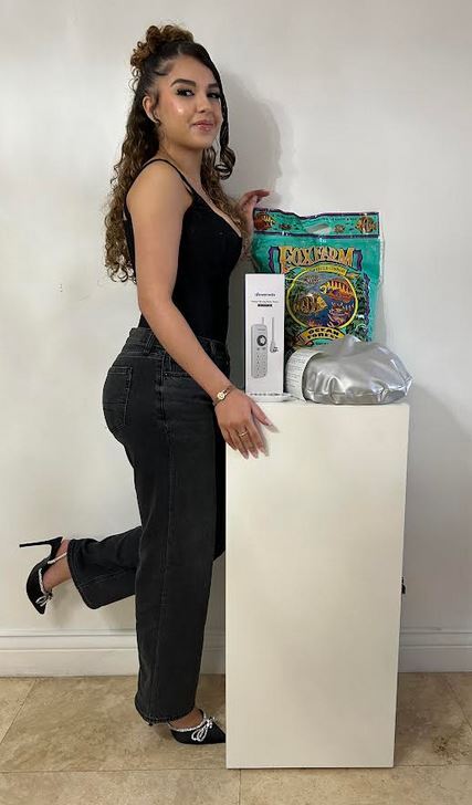 hydroponicsgrowbox8.jpg