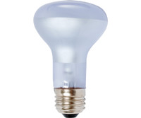Agrosun Agrosun Dayspot Incandescent Bulb, 60W BURP413