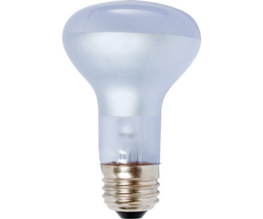 Agrosun Agrosun Dayspot Incandescent Bulb, 60W BURP413
