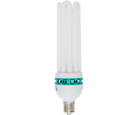 Agrobrite Bulb Comp FL Cool 125W 6500K 20/cs FLB125C