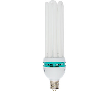 Agrobrite Bulb Comp FL Cool 125W 6500K 20/cs FLB125C