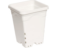 Active Aqua 6x6 Square White Pot, 8 Tall, 50 per case HG6X6SW