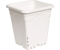 Active Aqua 9x9 Square White Pot, 10 Tall, 24 per case HG9X9SW