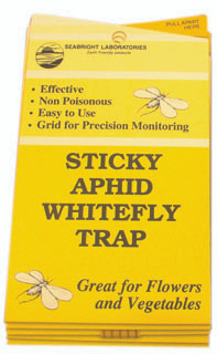 Seabright Laboratories White Fly Traps, 5 pack HGSLWFT