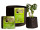 Smart Pot 1 Gallon Smart Pot 7x 6 RC1