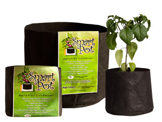 Smart Pot 100 Gallon Smart Pot 38x20 RC100