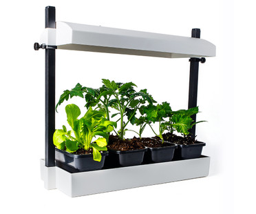 SunBlaster Micro Grow Light Garden White 1/ea SL1600199