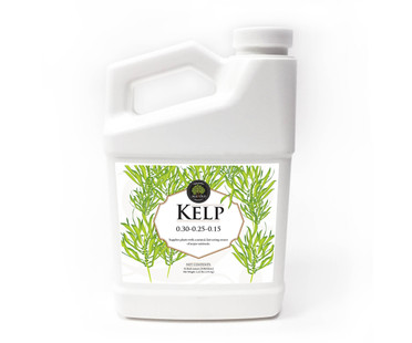 Age Old Organics Age Old Kelp 32 oz, 12/cs AO30032