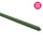 2 Steel Stake Plant Support - Green 20-pack - 3/8 THICK