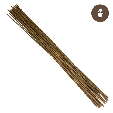 6 Natural Bamboo Stakes Bulk 250/bale