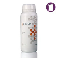 Silicium 500 ML