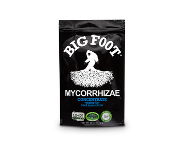 Big Foot Mycorrhizae Big Foot Mycorrhizae Concentrate 32 oz BFC32